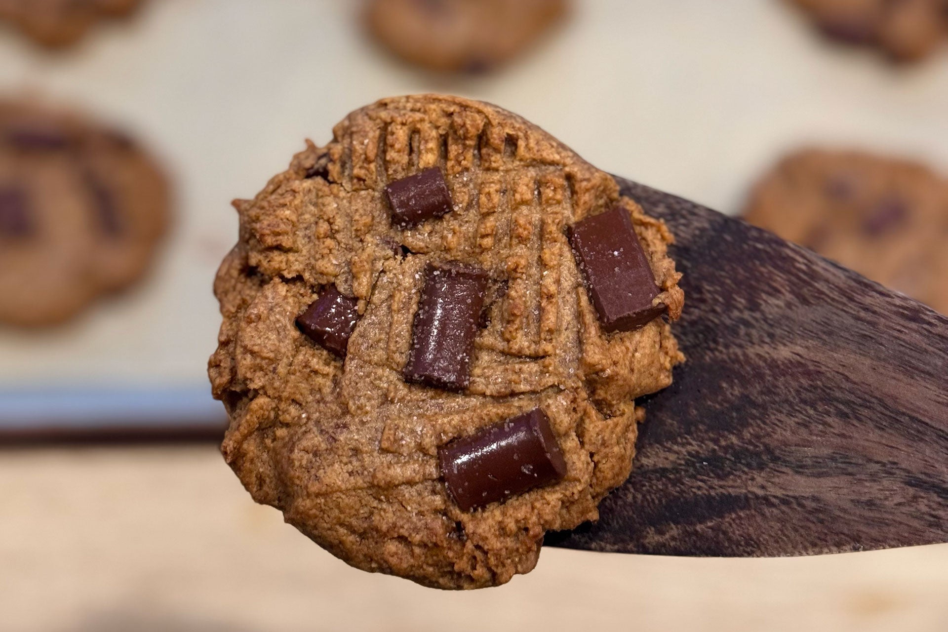 Peanut Butter Chocolate Chunk Cookies